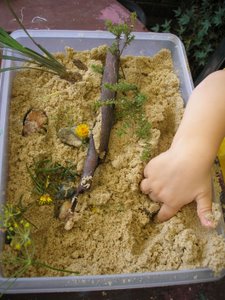 garden activities for kids zen garden