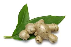 ginger root health benefits