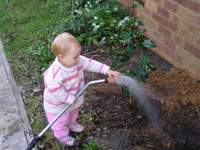 kid watering camellia