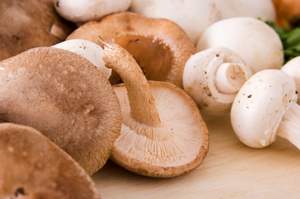 mix of shiitake portabello button mushrooms