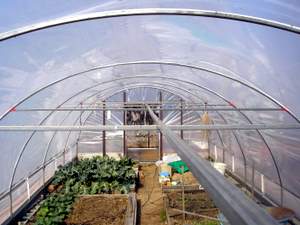 polytunnel frame