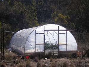 polytunnel south end length