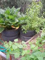 raised bed vegetable garden with tyre stacks