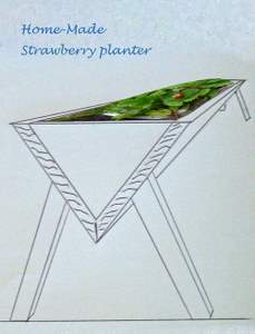 strawberry planter