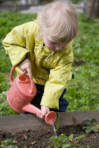 vegetable gardens for kids watering strawberries