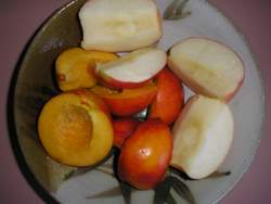 healthy breakfast foods fruit