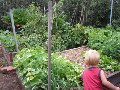 raised bed vegetable garden for kids